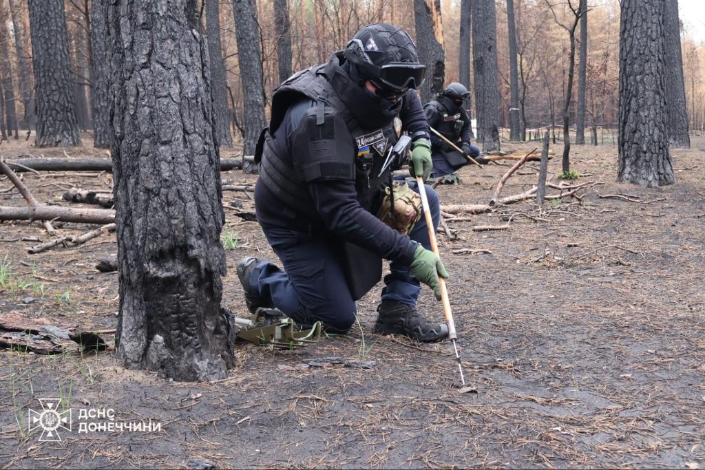 розмінування парку Святі гори