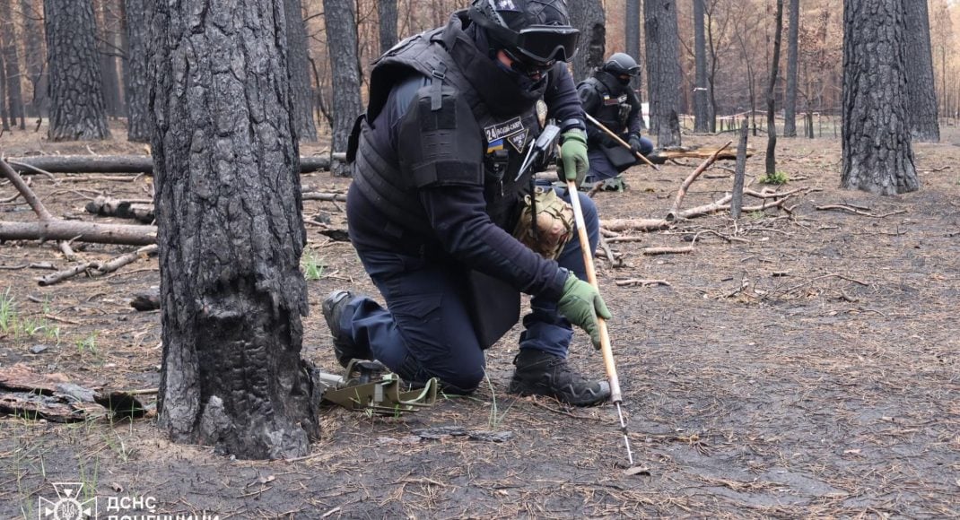 На полное разминирование национального природного парка "Святые горы" в Донецкой области может уйти до 6 лет