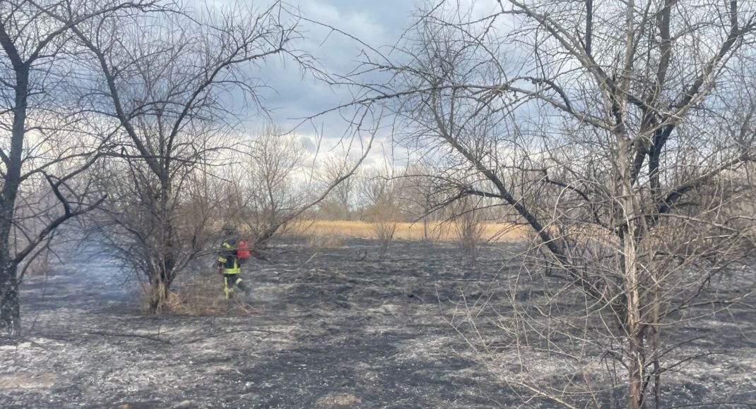 У Дружківці та Слов'янську на Донеччині вогонь знищив 3,5 га сухостою та очерету (фото)