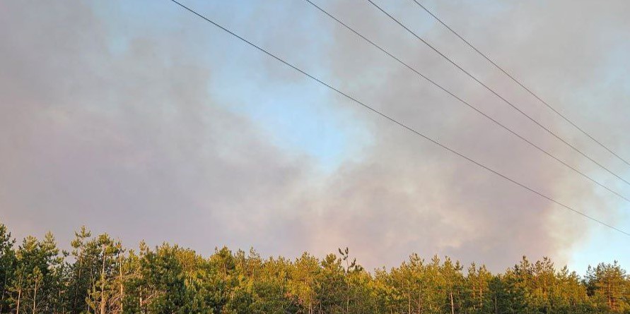 Через сильні лісові пожежі навколо окупованого Сіверськодонецька понад 2 тис. людей залишилися без світла