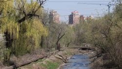 Екоцид триває на ТОТ: на окупованій Донеччині невпинно відбувається обміління річок