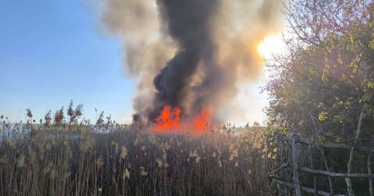 На відкритій території Донеччини рятувальники ліквідували 8 пожеж за добу