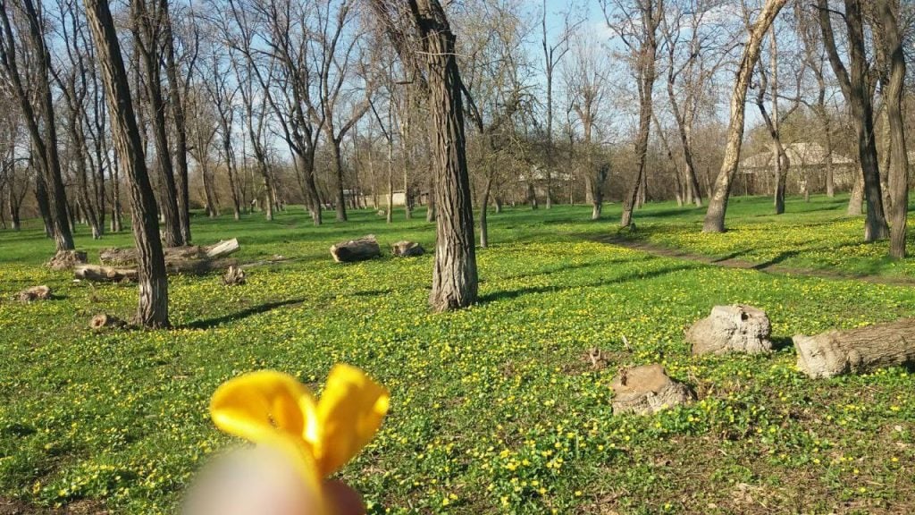 Спротив на українському Донбасі триває