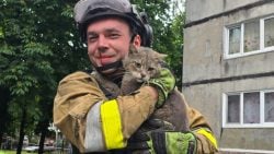 У Білозерському з-під завалів дістали живого котика