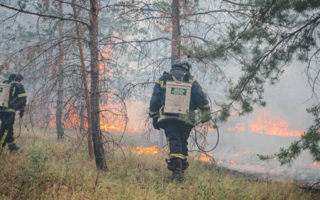У Лимані рятувальники ліквідували масштабну лісову пожежу, спричинену авіаударом