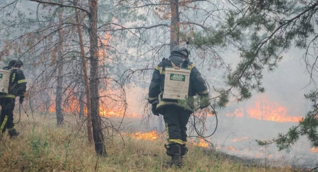 В Лимане спасатели ликвидировали масштабный лесной пожар, вызванный авиаударом (фото)
