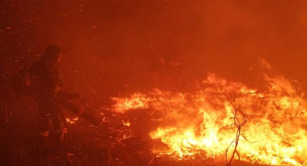 У Лиманській громаді унаслідок авіаудару горів ліс