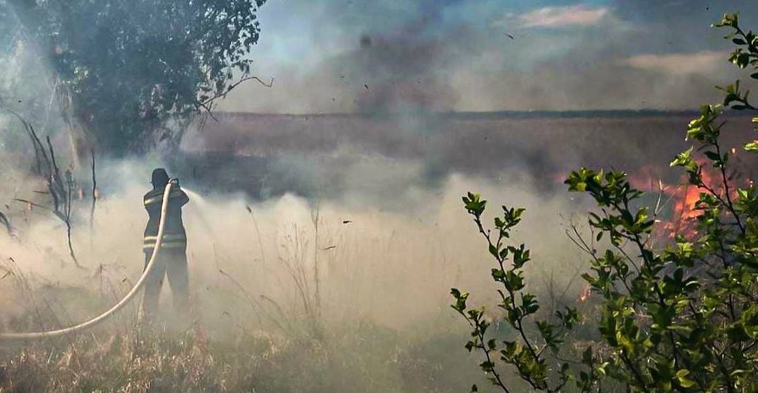 Вогнеборці з Луганщини ліквідували пожежі на Харківщині (фото)
