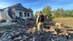 Росіяни 48 разів обстріляли цивільних Донеччини: найбільше постраждав Краматорський район