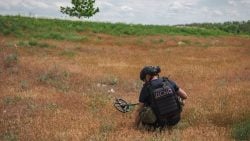 В Покровском и Краматорском районах Донетчины саперы уничтожили 13 взрывоопасных находок (фото)