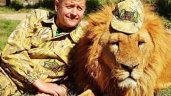 Вывезенный лев из Мариуполя напал на владельца крымского зоопарка