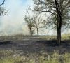 У Краматорському районі сталося дві пожежі у лісовому масиві Дробишевського лісництва
