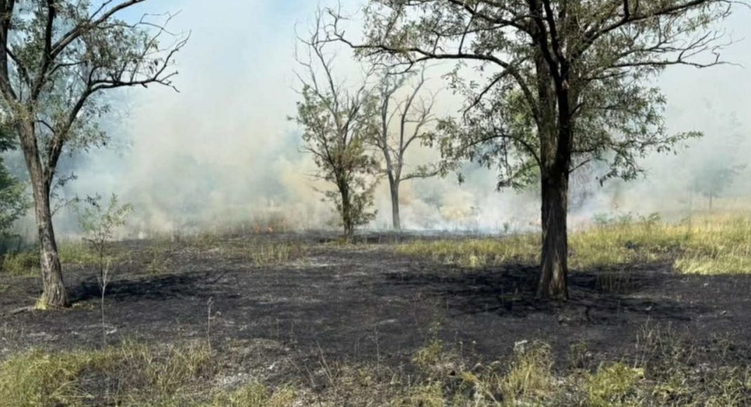 В Краматорском районе произошло два пожара в лесном массиве Дробышевского лесничества